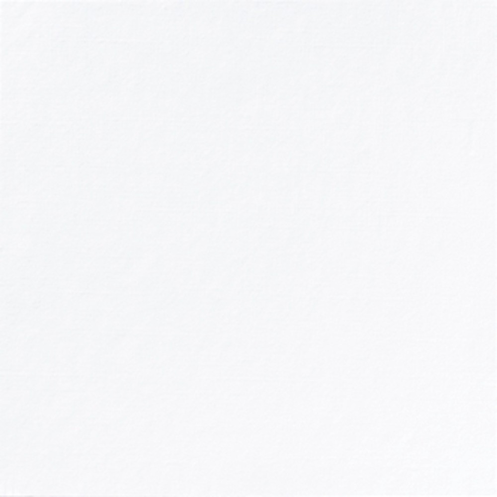 Servetėlės baltos AIRLAID 40x40 cm., 100 vnt.