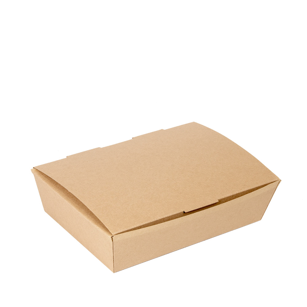 Vienk dėžutė THEPACK  R 21x18x5,5 cm (60)
